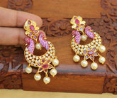 Matte Finish Twin Peacock Earrings T2785