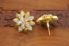 Matte Finish Studs Stone Earrings T2418