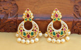 Gold Plated Stylish Stone Earrings T2507