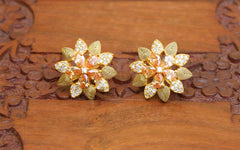 Matte Finish Studs Stone Earrings T2420