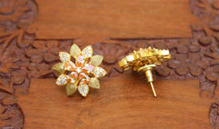 Matte Finish Studs Stone Earrings T2420