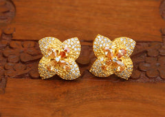 Gold Plated Studs Stone Earrings T2426