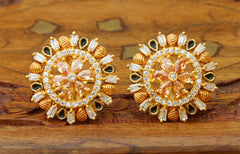 Matte Finish Studs Earrings T2435