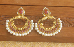 Lovely earrings Tanvi20