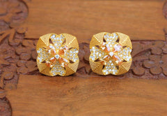 Matte Finish Orange Stone Stud Earrings T2413