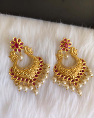 Matte Finish Peacock Stone Earrings T2866