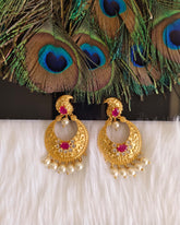 Mango Shape Matte Finish Earrings T2869