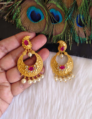 Mango Shape Matte Finish Earrings T2869