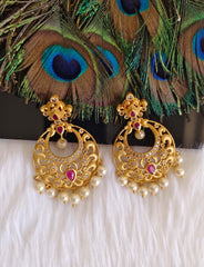 Stylish Matte Finish Pearl Stone Earrings T2868