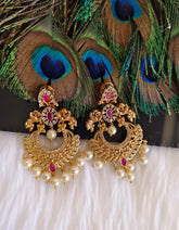 Matte Finish Peacock Stylish Stone Earrings T2871