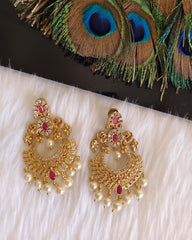 Matte Finish Peacock Stylish Stone Earrings T2871