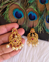 Matte Finish Stone Earrings T2872