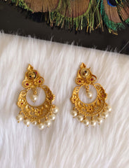 Matte Finish Stone Earrings T2874