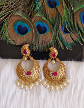 Mango Shape Matte Finish Earrings T2875