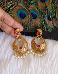 Mango Shape Matte Finish Earrings T2875