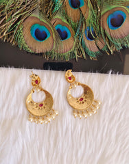 Mango Shape Matte Finish Earrings T2875