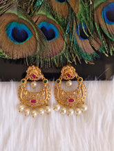 Matte Finish Stylish Stone Earrings T2876