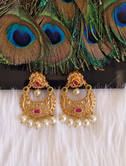 Matte Finish Stylish Stone Earrings T2876