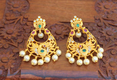 Stylish Peacock Matte Finish Earrings T2488