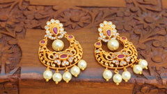 Matte Finish Stylish Earrings T2767