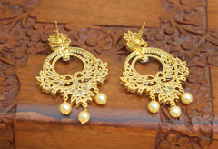 Stylish Gold Plated CZ Stone Earrings T2739