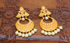 Peacock Matte Finish Earrings T2774