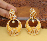 Designer Matte Finish CZ Stone Earrings T2778