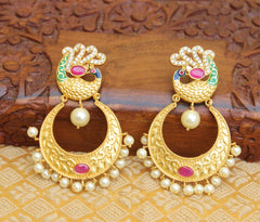 Matte Finish Peacock Stone Earrings T2834