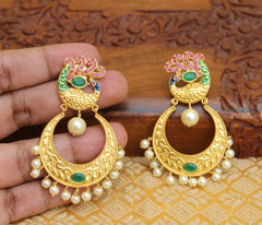 Matte Finish Peacock Stone Earrings T2836