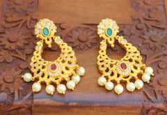 Matte Finish Designer Earrings T2480