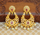 Matte Finish Designer Earrings T2481