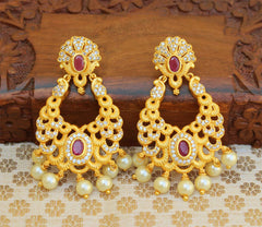 Matte Finish Designer Earrings T2481