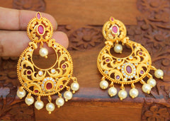 Matte Finish Stylish Pearl Stone Earrings T2509