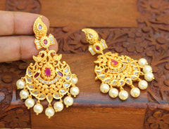 Mango Shape Peacock Matte Finish Earrings T2757