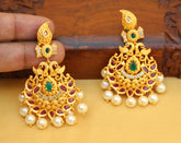 Mango Shape Peacock Matte Finish Earrings T2761