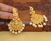 Mango Shape Peacock Matte Finish Earrings T2758