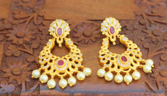 Matte Finish Designer Earrings T2481