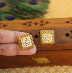 Matte Finish Studs Stone Earrings T2466