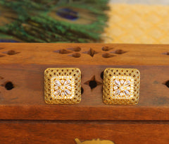 Matte Finish Studs Stone Earrings T2466