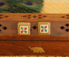 Matte Finish Studs Stone Earrings T2469