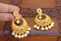 Stylish Matte Finish Stone Earrings T2510