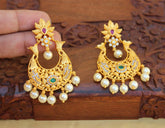 Stylish Matte Finish Pearl Earrings T2502