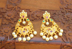 Stylish Peacock Matte Finish Earrings T2486