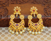 Stylish Matte Finish Earrings T2498