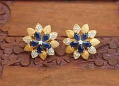 Matte Finish Studs Stone Earrings T2417