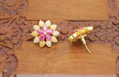 Matte Finish Studs Stone Earrings T2419