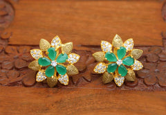 Matte Finish Studs Stone Earrings T2421