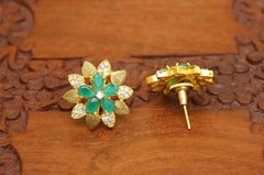 Matte Finish Studs Stone Earrings T2421