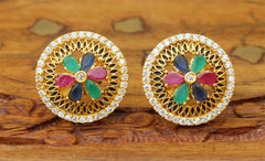 Designer Matte Finish Studs Earrings T2441