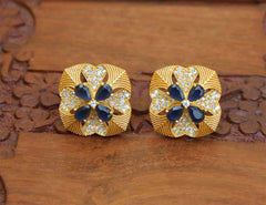 Matte Finish Blue Stone Stud Earrings T2414
